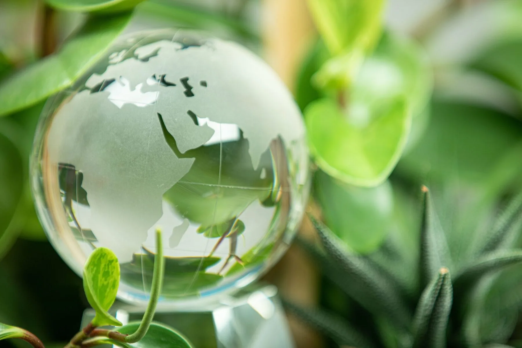 Herausforderungen der nachhaltigen Entwicklung