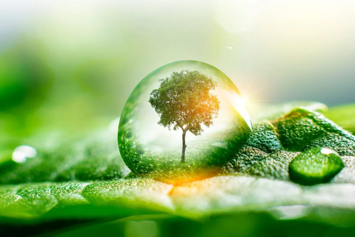 Strategie zur CO2-Reduzierung