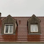 Reinigungsmittel für Fassaden, Dächer und Böden