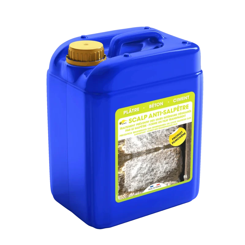 Professionelle Salpeterentfernung & vorbeugender Schutz