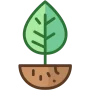 produits biodégradables