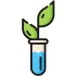 produits biosourcés